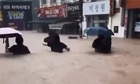 무너지고 잠기고 고립되고…韓전국 강타한 극한호우에 피해 속출