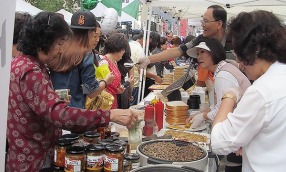 푸짐한 먹거리·볼거리·즐길거리⋯시골정취‘흠뻑’ - 뉴스 썸네일 이미지