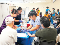 Vaccinate and Vitalize: Get a Flu Shot, Score a Free Gift