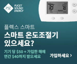 300x250 자리