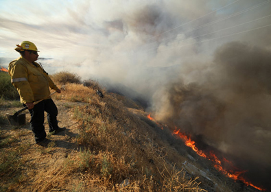 캘리포니아서 산불, 강풍에 확산…1천416ha 피해·주민 대피령
